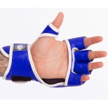 ММА перчатки Twins Special (GGL-3 blue)